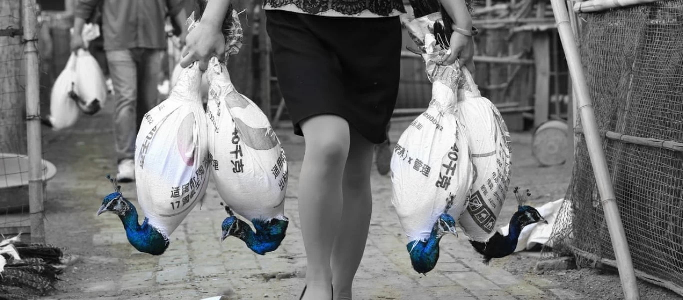 ΠΟΥ: Ο κορωνοϊός πιθανότατα να προήλθε από εκτροφεία άγριων ζώων στην Κίνα